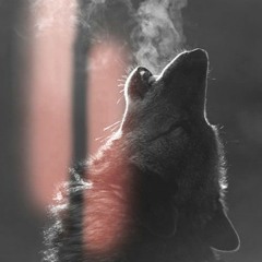 Sabrina Carpenter - Don't Want It Back (Young Førest Remix)