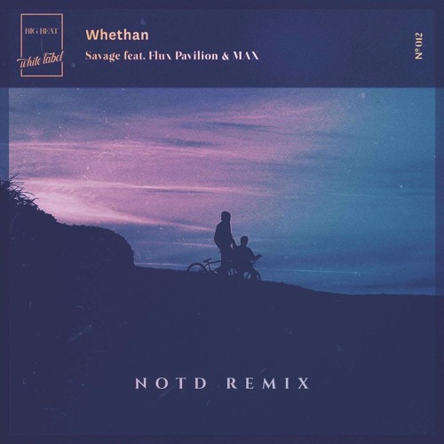 Whethan - Savage (NOTD Remix)