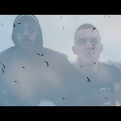 bekfleš - noviśad (yl rmx)