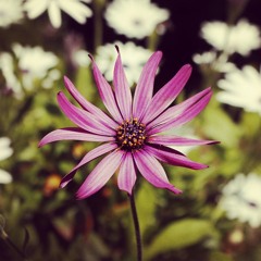 Waiting on the world  (beat)