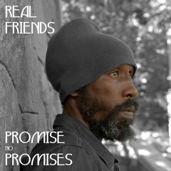 PROMISE NO PROMISES - REAL FRIENDS