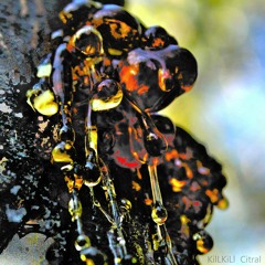 KilLKiLl - Mike Dyson's Back