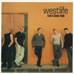 [Cover] I Don't Wanna Fight