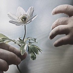 Chesh - Nothing's Gonna Hurt You Ft. Angie Brown (Instrumental)