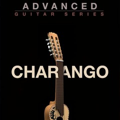 8Dio Charango: "Andean Treasure" by Benjamin Squires