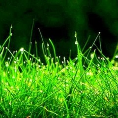 15 Months Experience