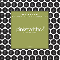 DJ Ralph - Return to the Sources