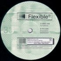 Flexible [Jerome Krom& Steve Rachmad] - Symptoms - Offshoot Records [UK]
