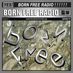 BORN FREE Radio 3 - A secret mix