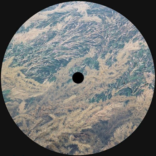PREMIERE: James I.V - M Island [Local Traffic]