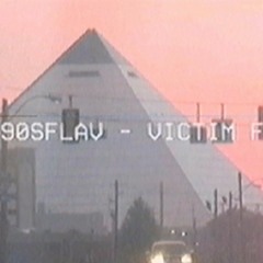 90s flav - Ｖｉｃｔｉｍ Ｆｏｒ Ｍｙ Ｃｌｉｐ