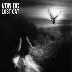 Von DC - Lost Cat