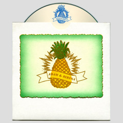 A&S Pineapple Wedding Mix