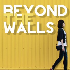 SynetraX - Beyond The Walls