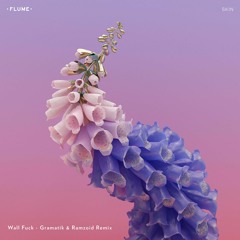 Flume - Wall Fuck (Gramatik & Ramzoid Remix)