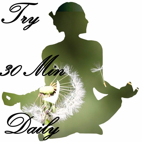 Forest Ambiance, Wind in the Trees, Many Birds, Distant Streams