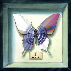 tricot - 18,19