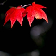 Can you stand the rain? feat Deuce Grams