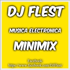 DJ Flest Musica Electronica (Minimix)