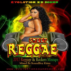 Evolution HD Sweet Reggae 2017 Mix - Clean