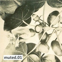 Aula Magna Podcast 11 - muted.01, 02.2017 (mutecast#004)