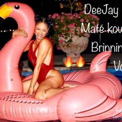 Maté kow et Brinnin sa Vol.2