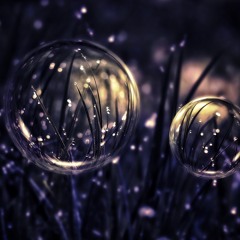 Water Drop