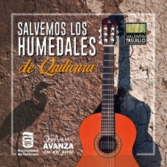 Rey Toro - Revolución en el Humedal