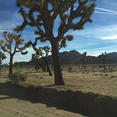 Where The Streets Have No Name