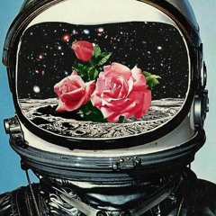 ROSE 🌹