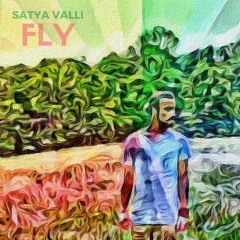Fly