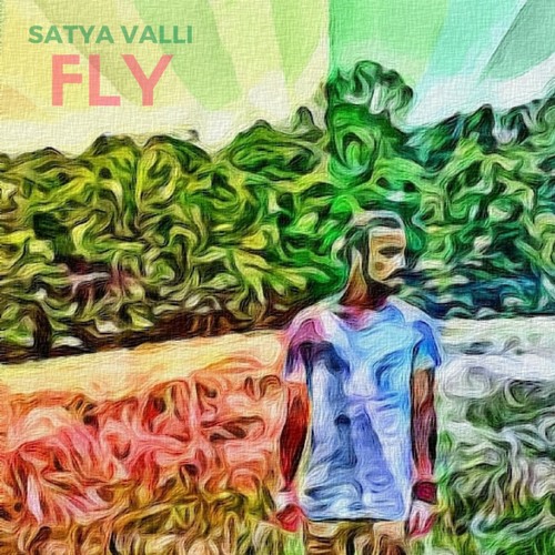 Fly