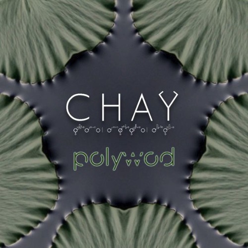 CHAY - Polywod (Original Mix)(Free DL)