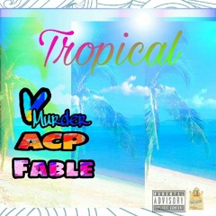 Royalty Reckless- Tropical