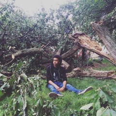 The Rose That Died On My Street