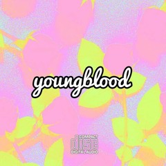 Hunny Gurl Feat. Terrence Wimberly(Prod. by Kay-1)