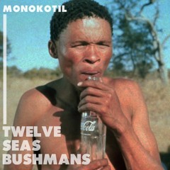 Twelve Seas Bushmans