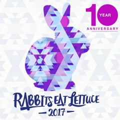 Rabbits Eat Lettuce Festival - GETDOWN DJ Set