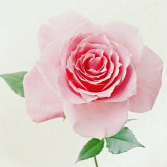 قصيدة النّزِق د.سعود الشريم