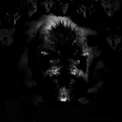HARDSTYLE [SnowFoxAudio]
