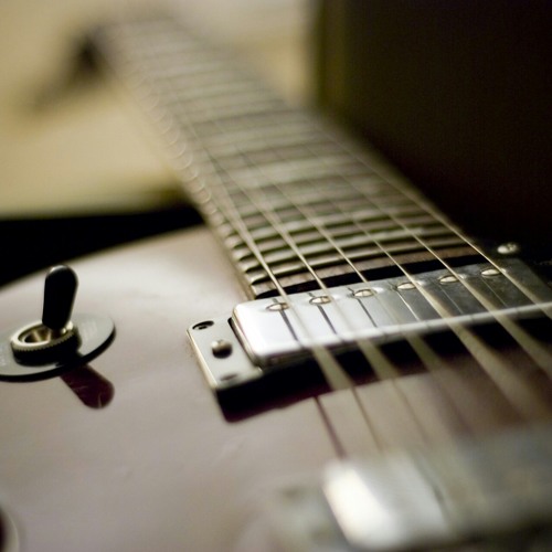 The Animal In Me - Don't Let Me Down (Guitar Cover)