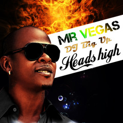 Mr Vegas - Heads high (DJ Big Up remix)2017