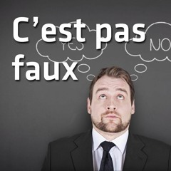 C'est pas faux (saison 2)