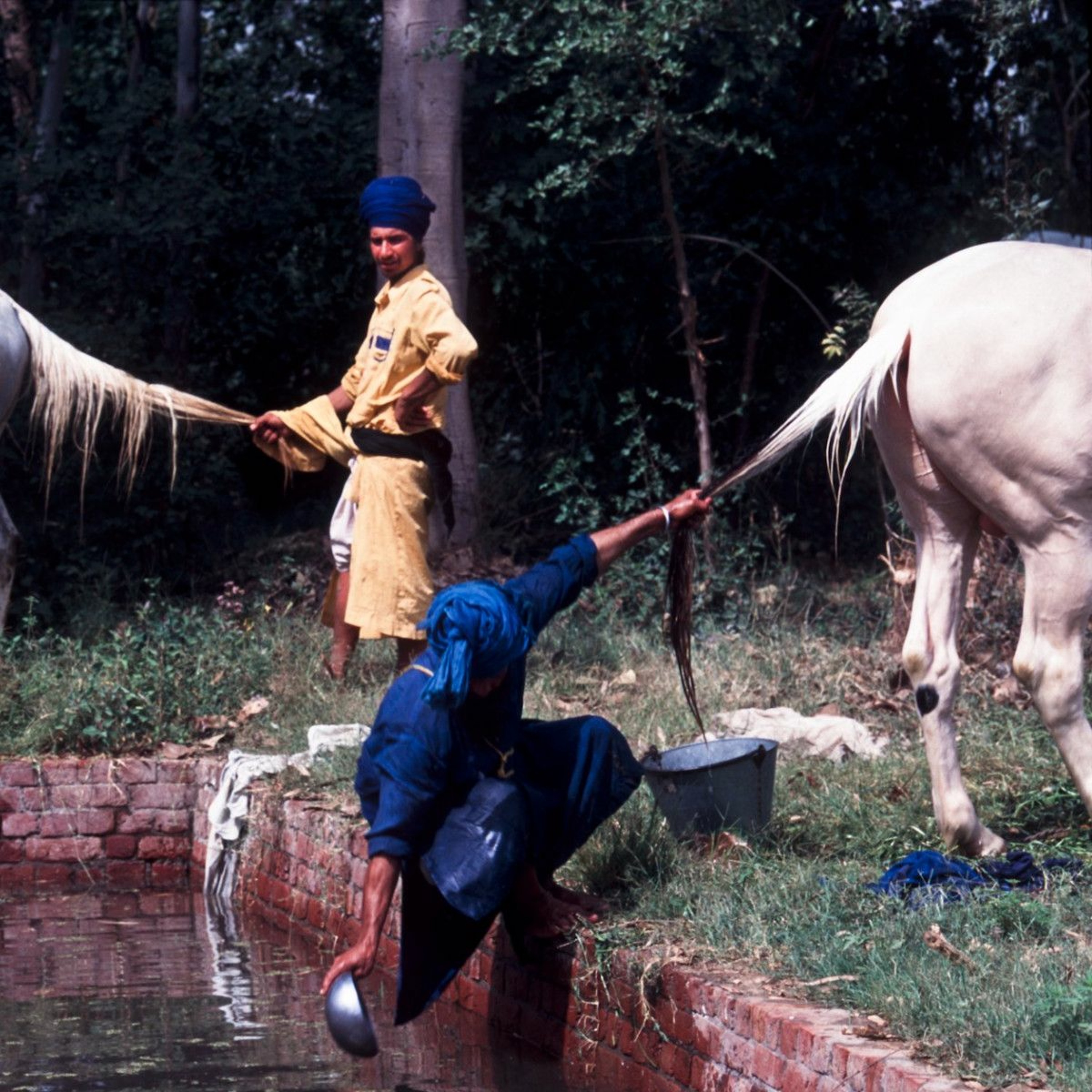 Narsingh Bornlion