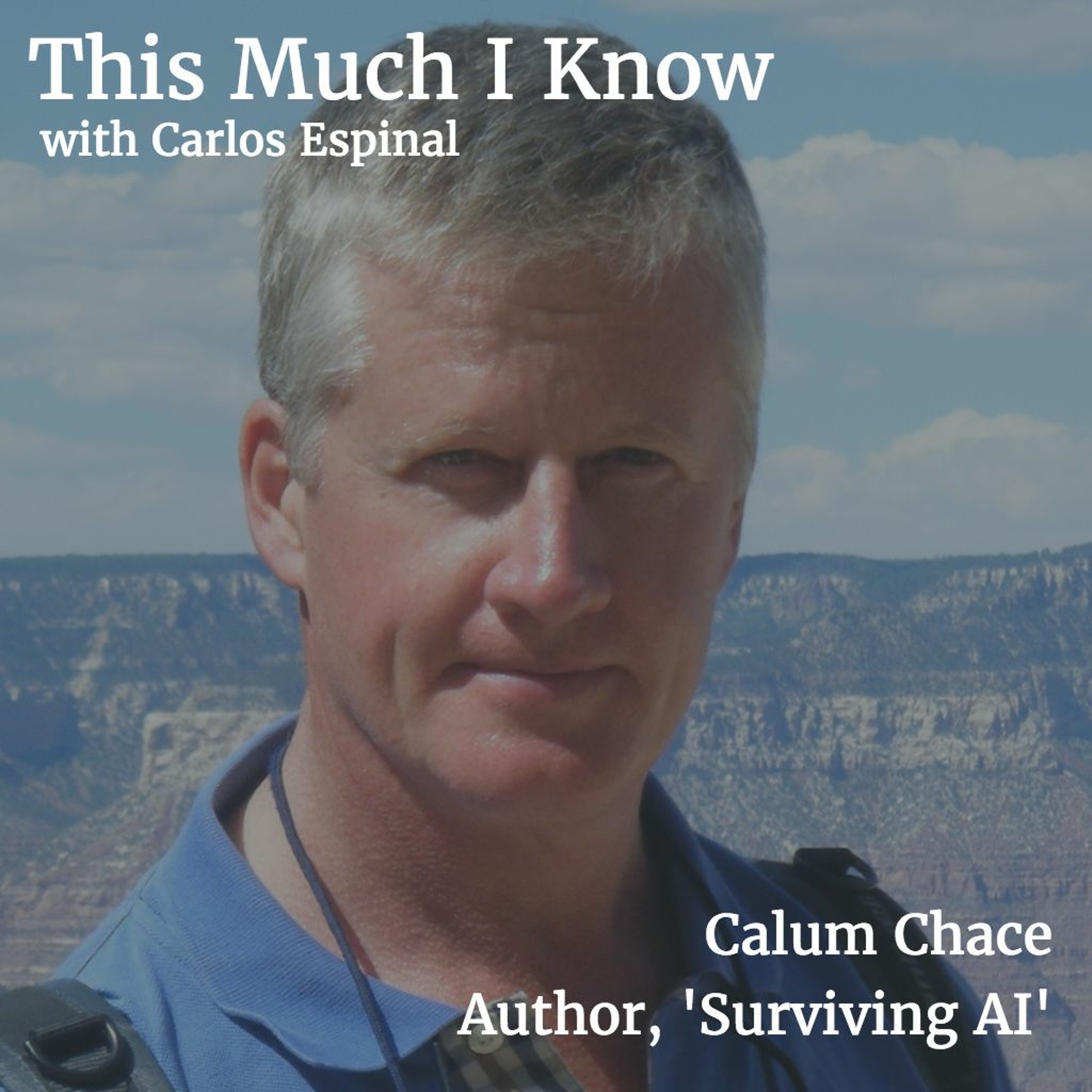 This Much I Know - The Seedcamp Podcast