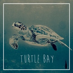Turtle Bay