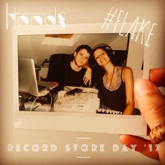 Flake RSD17