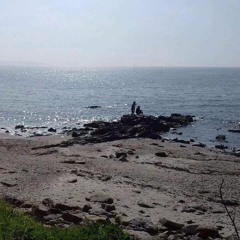 Antidote Stef Crylexx cover