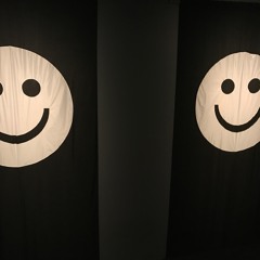 Sallizm For Beginners*