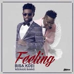 BISA KDEI ft REEKADO BANKS - FEELING
